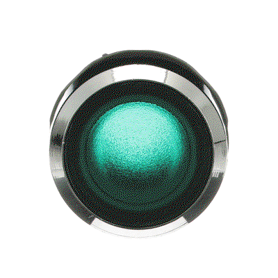 MP1-31G Pushbutton
