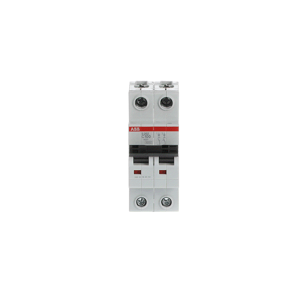 Miniature Circuit Breaker - S200 80-100A - 2P - 100 A - C - (AC) 6 kA