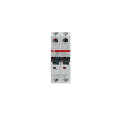 Miniature Circuit Breaker - S200 80-100A - 2P - 100 A - C - (AC) 6 kA