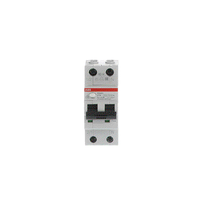 Residual Current Circuit Breaker with Overcurrent Protection DS201 - 1P+N - 300 mA - 16 A - C - Type A