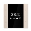 YUBR/U0.0.1-411 Room Temperature Controller, Champagne Gold,FM