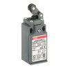 LS30P30B11 Limit Switch