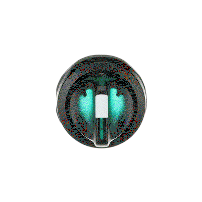M2SS1-11G Selector Switch