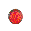 CL2-501R Pilot Light
