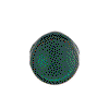 CL-100G Pilot Light