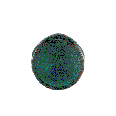 CL-100G Pilot Light