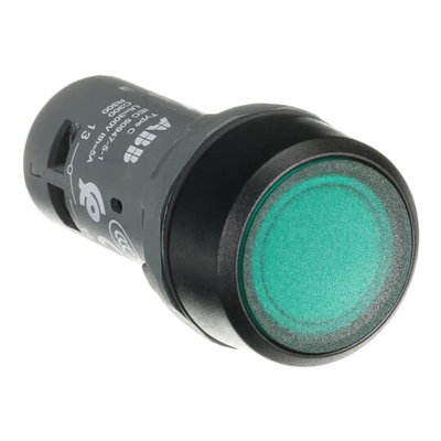 CP2-11G-10 Pushbutton