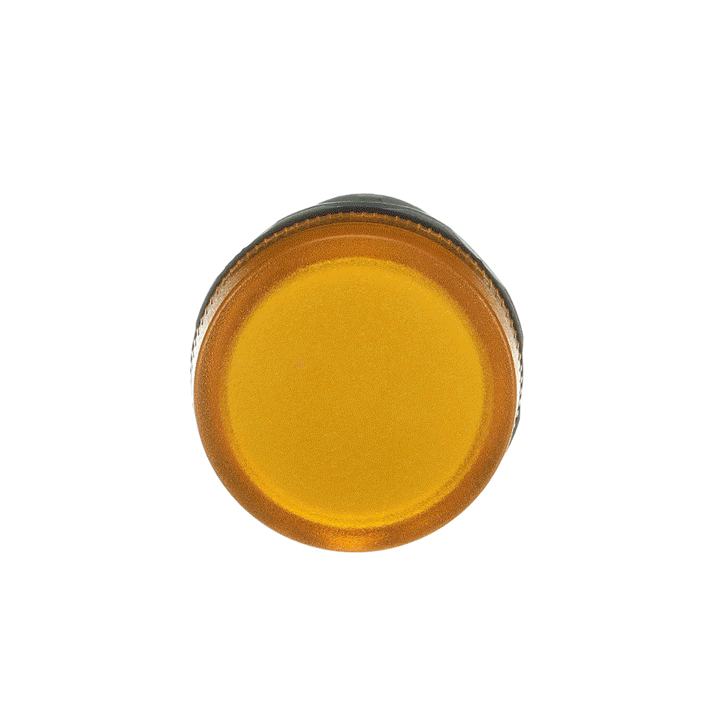 CL2-501Y Pilot Light