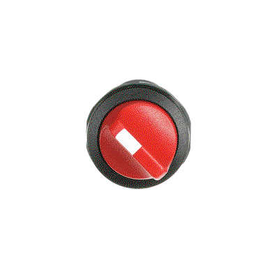 C2SS2-10R-11 Selector Switch