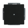 Cover plate for Blind cap 1-gang with Mounting plate black matt - Platform 63