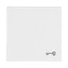 Rocker with legend Symbol "key" for Switch/push button, Single rocker studio white - Platform 63