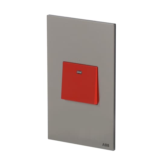 Switch 1-way Double Pole 2-pole switch Stainless steel - Millenium – Image 3 of 3