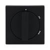 Cover plate with legend Symbol "1-2-3" for Level switch, Turn button black matt - Platform 63