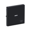 Rocker with legend Symbol "light" with Small Transparent Calotte for Switch/push button, Single rocker anthracite - Platform 63