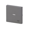 Rocker with legend Symbol "light" with Small Transparent Calotte for Switch/push button, Single rocker grey metallic - Platform 63