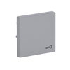 Rocker with legend Symbol "key" for Switch/push button, Single rocker aluminium silver - Platform 63