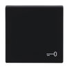 Rocker with legend Symbol "key" for Switch/push button, Single rocker black matt - Platform 63