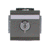 SCHUKO® socket insert Safety Shutter with Hinged Lid Cylinder with Different Locking with label space grey metallic - Platform 63