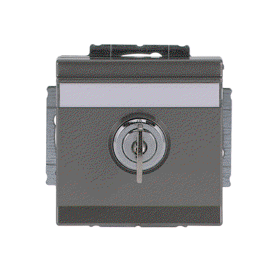 SCHUKO® socket insert Safety Shutter with Hinged Lid Cylinder with Different Locking with label space grey metallic - Platform 63