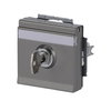 SCHUKO® socket insert Safety Shutter with Hinged Lid Cylinder with Different Locking with label space grey metallic - Platform 63