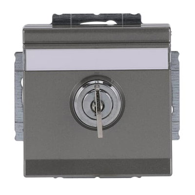 SCHUKO® socket insert Safety Shutter with Hinged Lid Cylinder with Simultaneous Locking with label space grey metallic - Platform 63