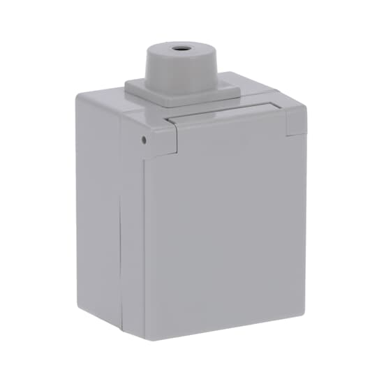 Busch-Perilex® Socket with Hinged Lid grey – Görsel 3 / 4