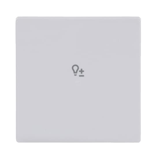 Rocker Symbol "dimming" with Small Transparent Calotte 1gang studio white - Platform 63
