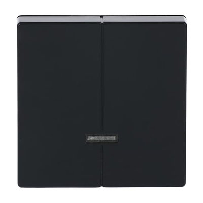 Control Element for Dimmer Two-part button with Neon lamp anthracite - Platform 63