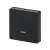Control Element for Dimmer Two-part button with Neon lamp black matt - Platform 63