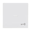 Rocker with legend Symbol "key" with Small Transparent Calotte for Switch/push button, Single rocker studio white matt - Platform 63