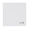 Rocker with legend Symbol "key" for Switch/push button, Single rocker studio white matt - Platform 63