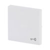 Rocker with legend Symbol "key" for Switch/push button, Single rocker studio white matt - Platform 63