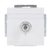 SCHUKO® Socket insert with labelling field Safety Shutter with Hinged Lid Cylinder with Different Locking with label space studio white - Platform 63