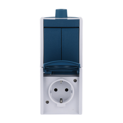 Combination rocker switch with SCHUKO® socket outlet 2-gang, Series switch 2P+PE grey / blue-green - ocean