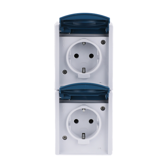 SCHUKO® Double socket with labelling field with Hinged Lid grey / blue-green - ocean