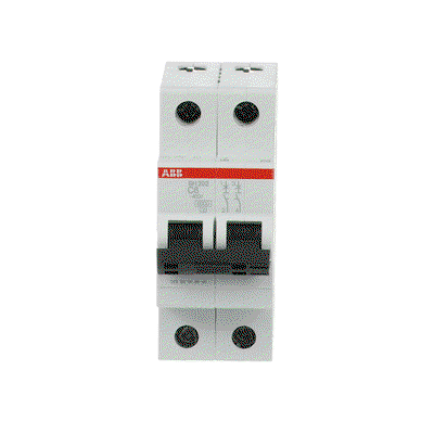 Miniature Circuit Breaker - SH200 - 2P - 6 A - C - (AC) 6 kA