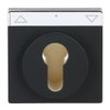 Cover plate with legend Symbol "arrows" or "0 - 1" for Venetian blind, Key black matt - Platform 63