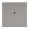Rocker Symbol "light" with Small Transparent Calotte 1gang stainless steel - Pure Stainless Steel