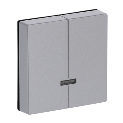 Control Element for Dimmer Two-part button with Neon lamp aluminium silver - Platform 63