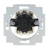 Blind switch insert Key 2-pole switch and push switch 10 A