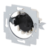 Blind switch insert Key 2-pole switch and push switch 10 A