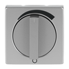 Cover plate with legend Loudspeaker Turn button stainless steel - Pure Stainless Steel