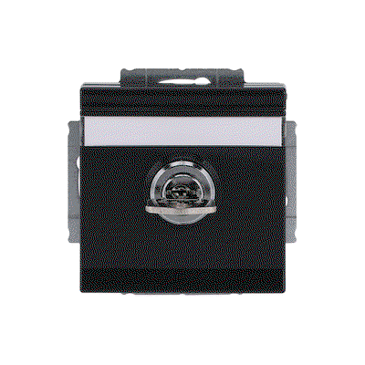 SCHUKO® Socket insert with labelling field Safety Shutter with Hinged Lid Cylinder with Simultaneous Locking with label space anthracite - Platform 63