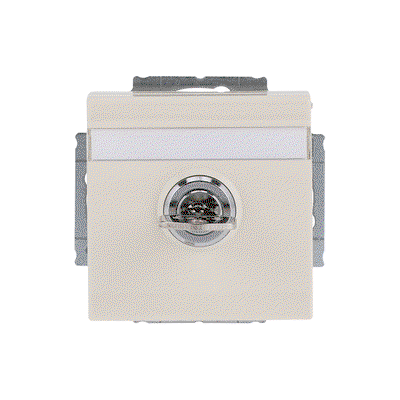 SCHUKO® Socket insert with labelling field Safety Shutter with Hinged Lid Cylinder with Different Locking with label space ivory white - Platform 63