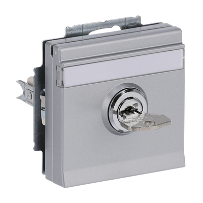 SCHUKO® Socket insert with labelling field Safety Shutter with Hinged Lid Cylinder with Different Locking with label space aluminium silver - Platform 63