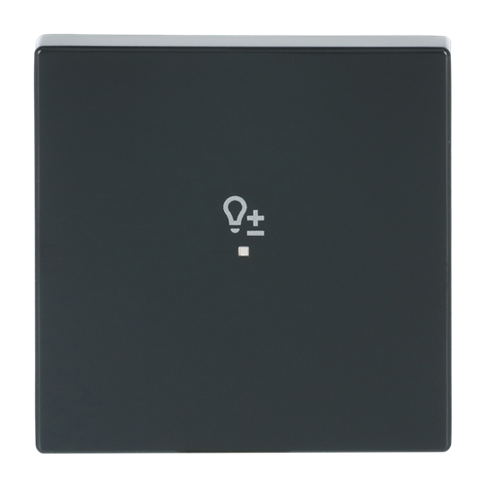 Rocker Symbol "dimming" with Small Transparent Calotte 1gang anthracite - Platform 63 – Image 3 of 4