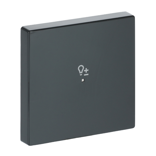 Rocker Symbol "dimming" with Small Transparent Calotte 1gang anthracite - Platform 63 – Image 4 of 4