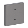 Electronic Controls 1gang grey metallic - Platform 63
