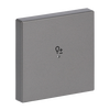 Electronic Controls 1gang grey metallic - Platform 63