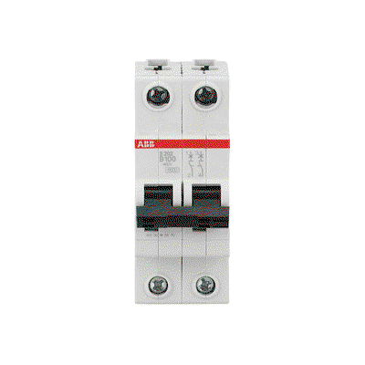 Miniature Circuit Breaker - S200 80-100A - 2P - 100 A - B - (AC) 6 kA